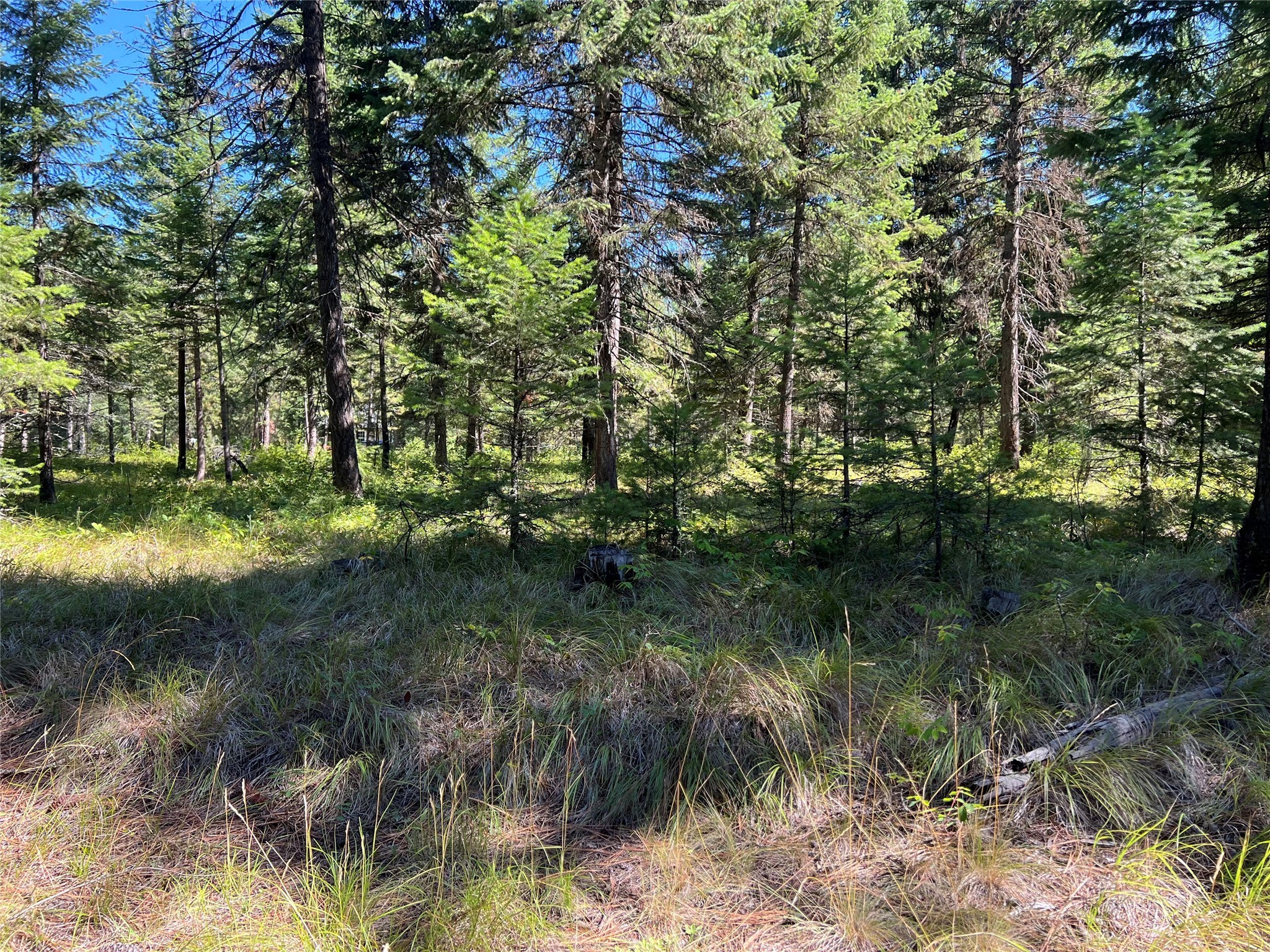 77 Trestle Creek Drive