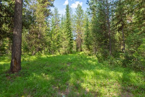 Tiny photo for NHN Lupfer Road, Whitefish, MT 59937 (MLS # 30070411)