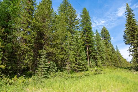 Tiny photo for NHN Lupfer Road, Whitefish, MT 59937 (MLS # 30070411)