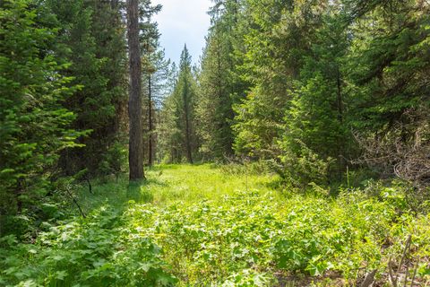 Tiny photo for NHN Lupfer Road, Whitefish, MT 59937 (MLS # 30070411)