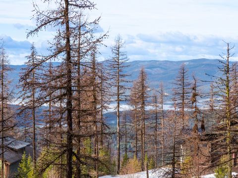 Tiny photo for 317 Elk Highlands Drive, Whitefish, MT 59937 (MLS # 30067695)