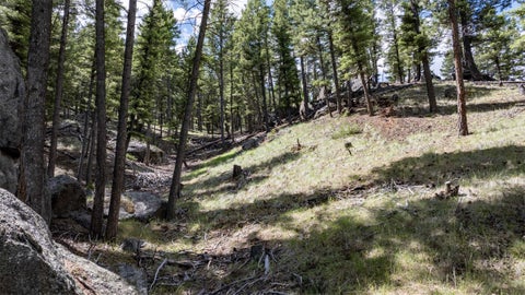 Tiny photo for 16 Evergreen Court, Clancy, MT 59634 (MLS # 30073499)