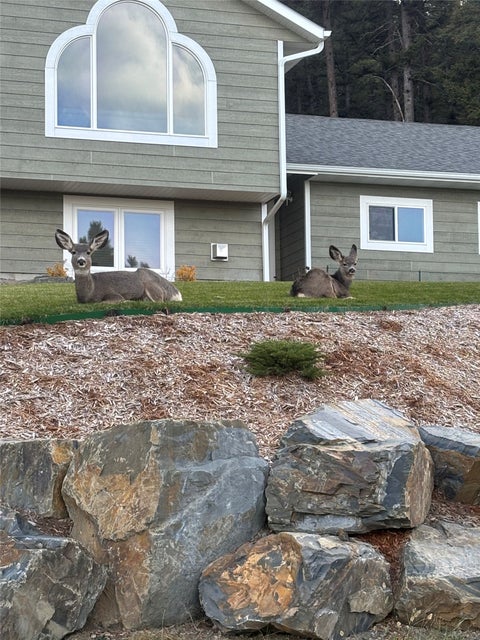 Tiny photo for 16 Evergreen Court, Clancy, MT 59634 (MLS # 30073499)