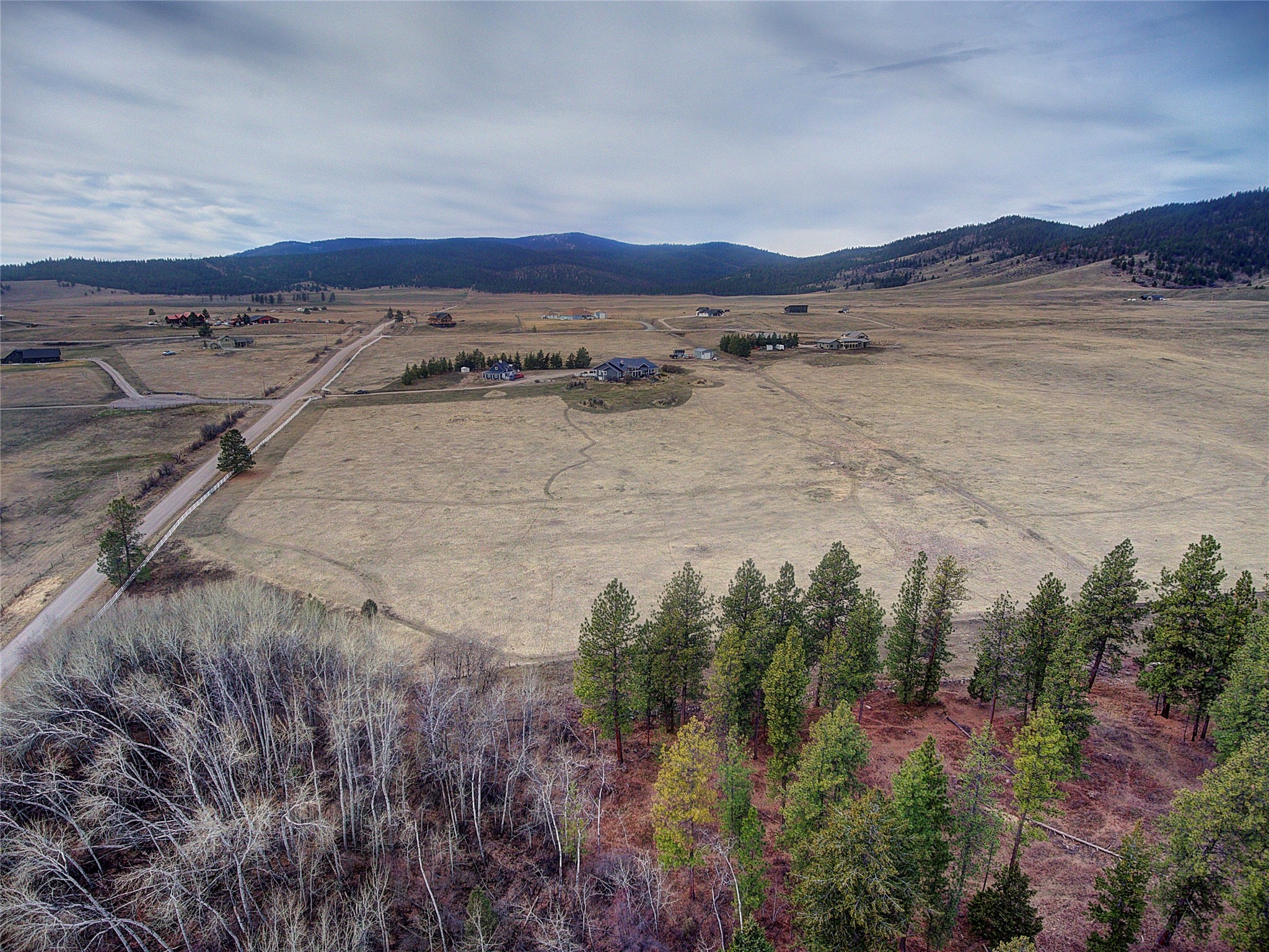 31365 Walking Horse Lane