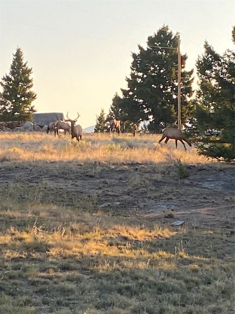 Tiny photo for 884 Wapiti Mountain Road, Butte, MT 59701 (MLS # 30070638)