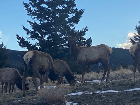 Tiny photo for 884 Wapiti Mountain Road, Butte, MT 59701 (MLS # 30070638)
