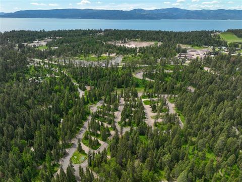 32962 Ninebark Lane Bigfork MT 59911