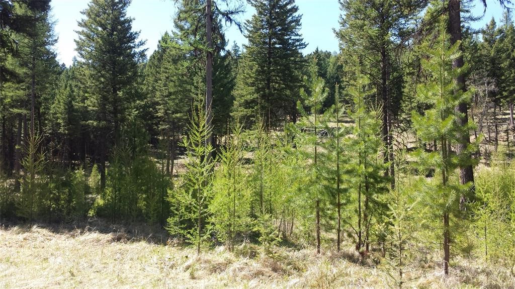 270 Tomahawk Trail