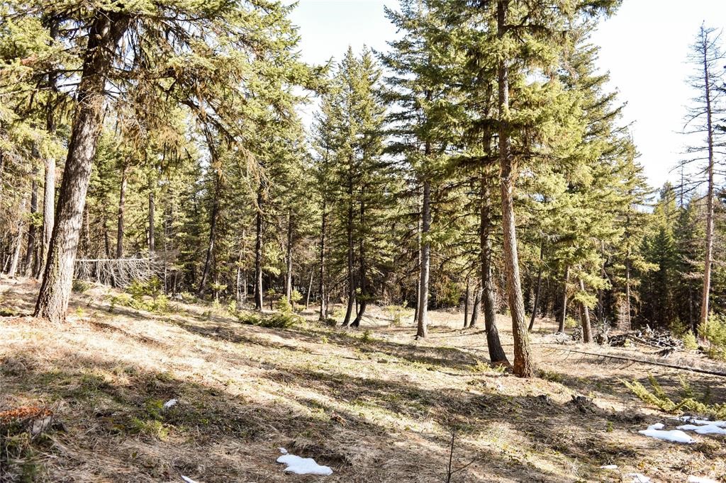 270 Tomahawk Trail