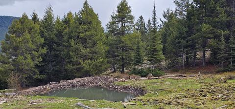 Photo of 10 Tract, Garnet Range, Drummond, MT 59832 (MLS # 30066824)