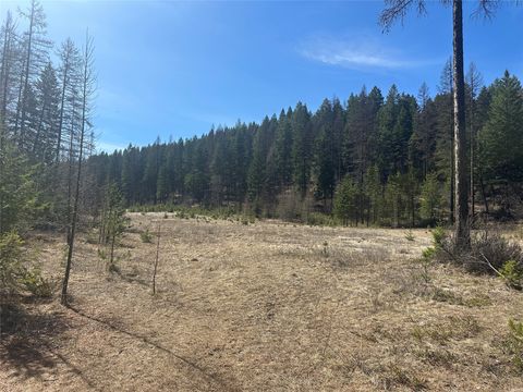 Tiny photo for 480 & 1480 Tally Lake Road, Whitefish, MT 59937 (MLS # 30068536)