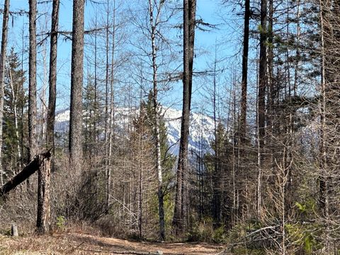 Tiny photo for 480 & 1480 Tally Lake Road, Whitefish, MT 59937 (MLS # 30068536)