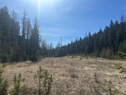 Tiny photo for 480 & 1480 Tally Lake Road, Whitefish, MT 59937 (MLS # 30068536)