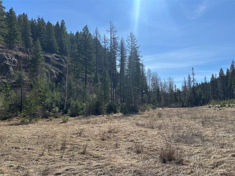 Tiny photo for 480 & 1480 Tally Lake Road, Whitefish, MT 59937 (MLS # 30068536)