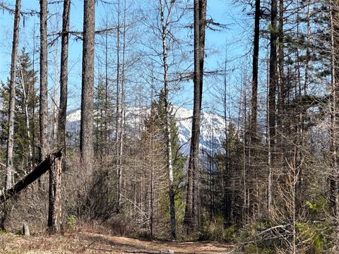 Tiny photo for 480 & 1480 Tally Lake Road, Whitefish, MT 59937 (MLS # 30068536)