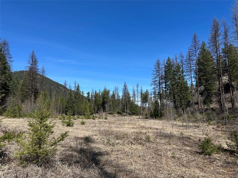 Tiny photo for 480 & 1480 Tally Lake Road, Whitefish, MT 59937 (MLS # 30068536)