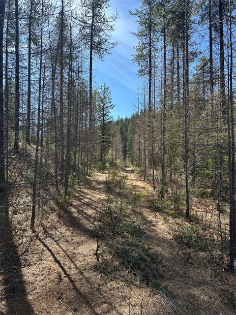 Tiny photo for 480 & 1480 Tally Lake Road, Whitefish, MT 59937 (MLS # 30068536)