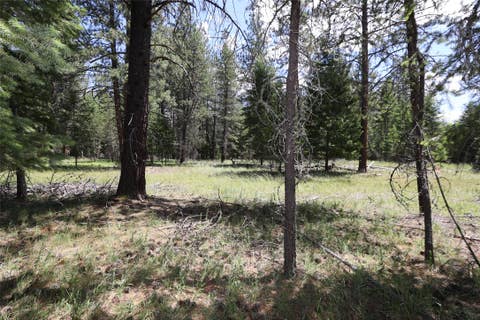 Tiny photo for NHN Lot 6 Graves Creek Road, Thompson Falls, MT 59873 (MLS # 30073549)