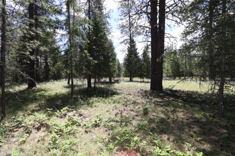 Tiny photo for NHN Lot 6 Graves Creek Road, Thompson Falls, MT 59873 (MLS # 30073549)
