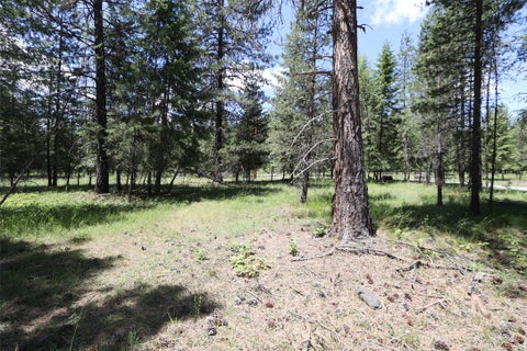 Tiny photo for NHN Lot 6 Graves Creek Road, Thompson Falls, MT 59873 (MLS # 30073549)