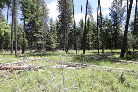 Tiny photo for NHN Lot 6 Graves Creek Road, Thompson Falls, MT 59873 (MLS # 30073549)