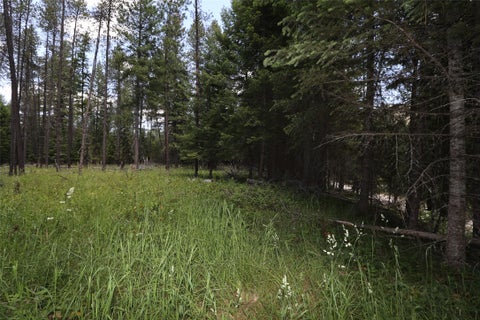 Tiny photo for NHN Lot 6 Graves Creek Road, Thompson Falls, MT 59873 (MLS # 30073549)