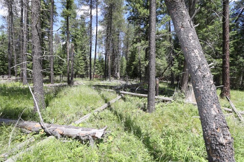 Tiny photo for NHN Lot 6 Graves Creek Road, Thompson Falls, MT 59873 (MLS # 30073549)
