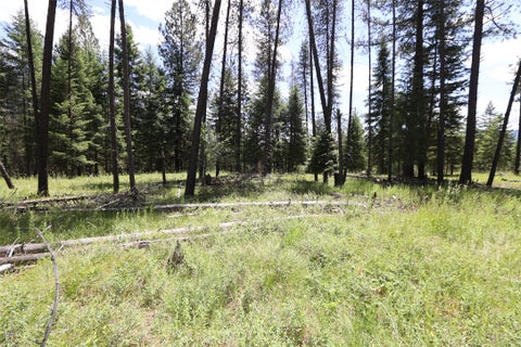Tiny photo for NHN Lot 6 Graves Creek Road, Thompson Falls, MT 59873 (MLS # 30073549)