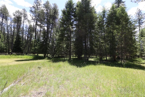 Tiny photo for NHN Lot 6 Graves Creek Road, Thompson Falls, MT 59873 (MLS # 30073549)