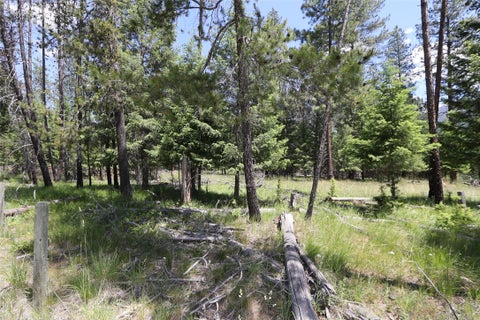 Tiny photo for NHN Lot 6 Graves Creek Road, Thompson Falls, MT 59873 (MLS # 30073549)