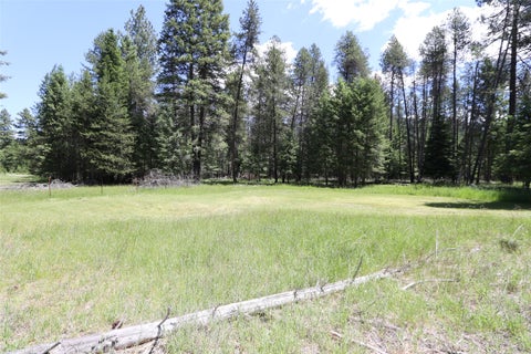 Photo of NHN Lot 6 Graves Creek Road, Thompson Falls, MT 59873 (MLS # 30073549)