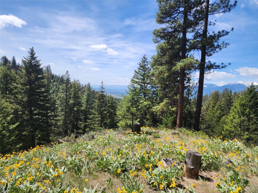 Photo of 19063 Copper Ridge Trail, Florence, MT 59833 (MLS # 30050979)