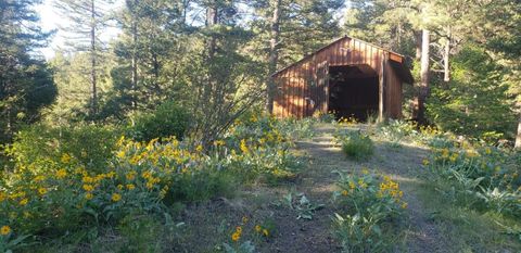 19063 Copper Ridge Trail Florence MT 59833