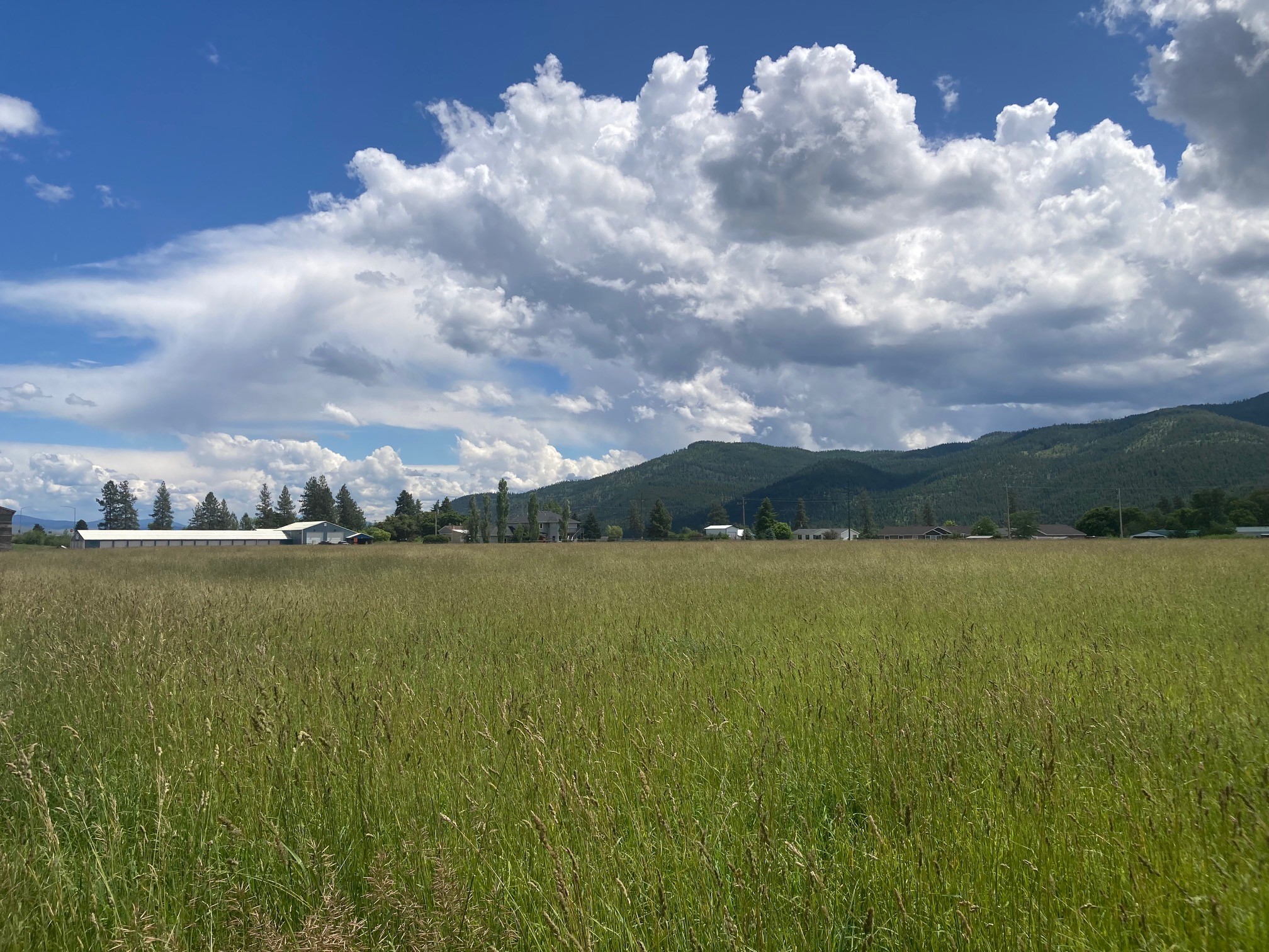 Lot 5 Huson Road