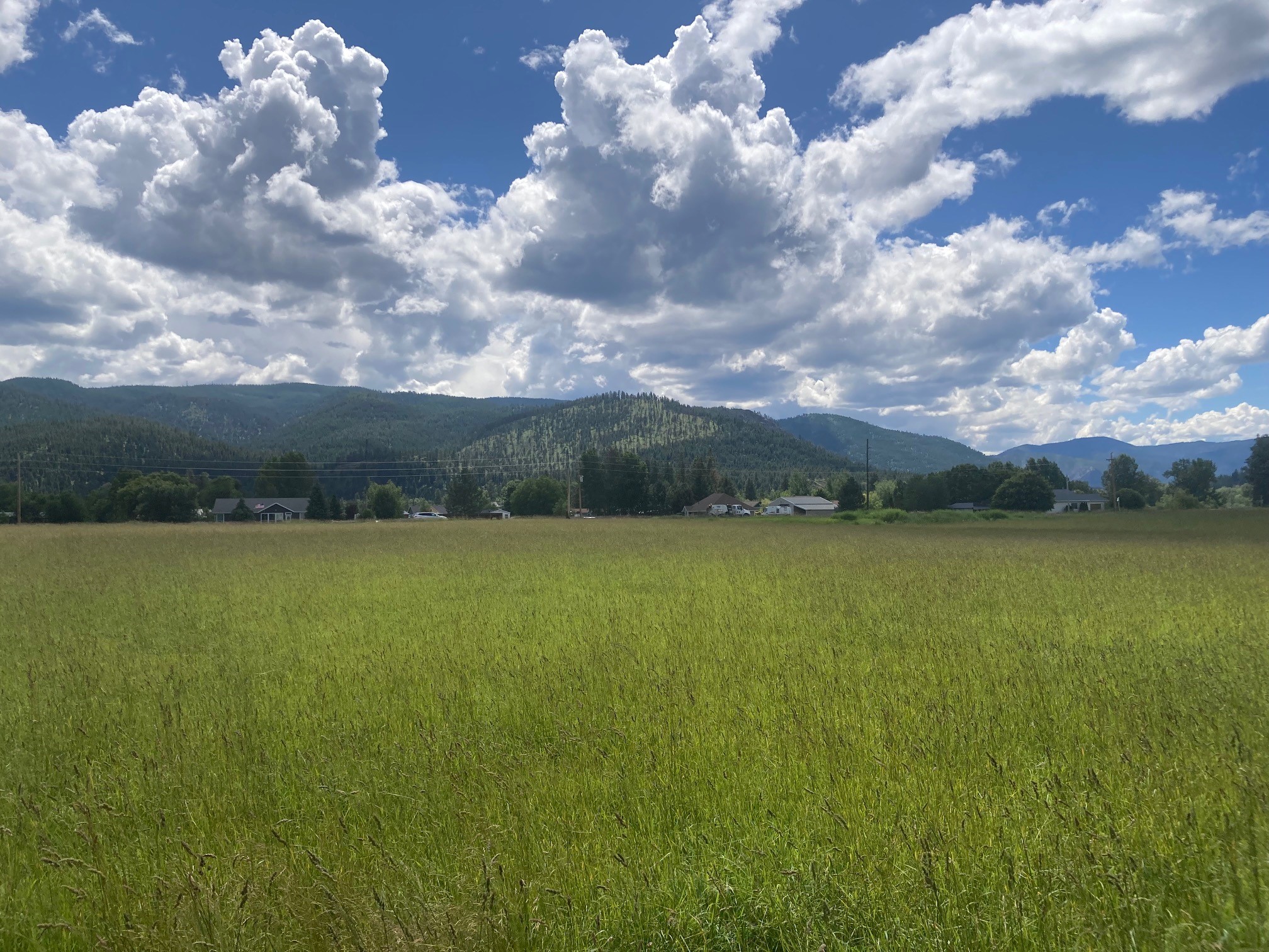 Lot 5 Huson Road