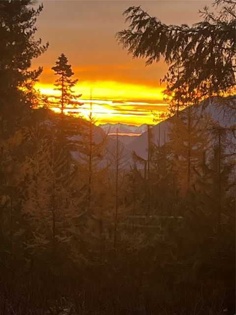 Tiny photo for 88 Abbey Road, Whitefish, MT 59937 (MLS # 30054907)