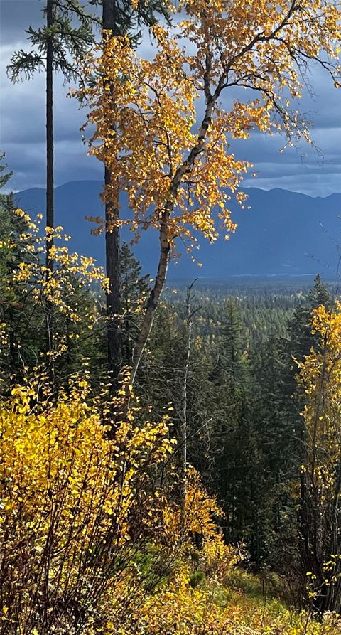 Tiny photo for 88 Abbey Road, Whitefish, MT 59937 (MLS # 30054907)