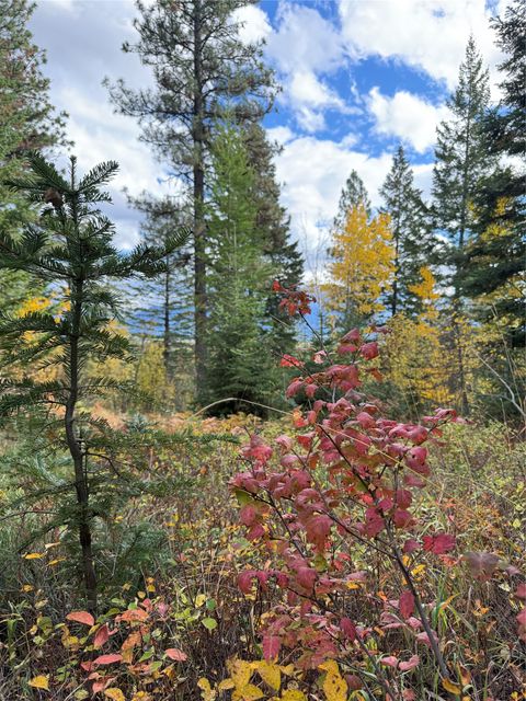 Tiny photo for 88 Abbey Road, Whitefish, MT 59937 (MLS # 30054907)