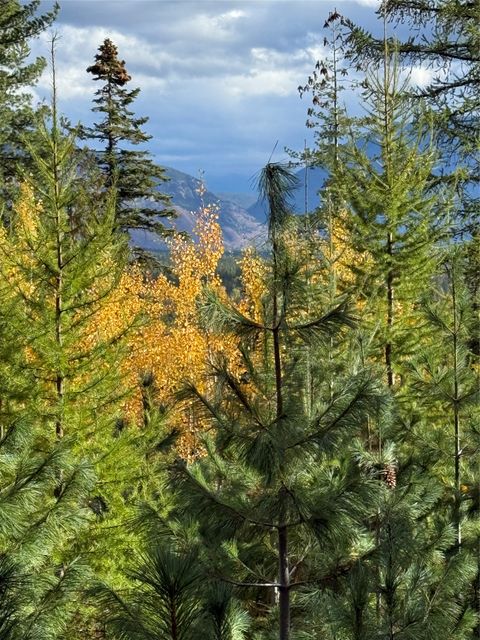 Tiny photo for 88 Abbey Road, Whitefish, MT 59937 (MLS # 30054907)