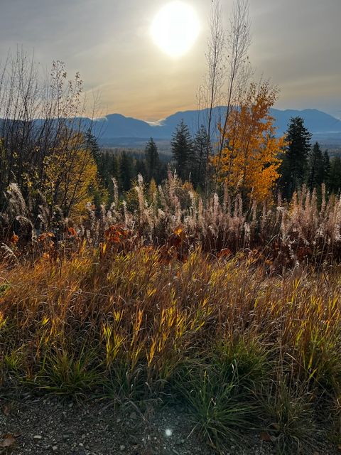 Tiny photo for 88 Abbey Road, Whitefish, MT 59937 (MLS # 30054907)