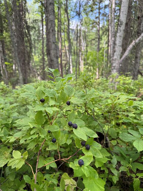 Tiny photo for 88 Abbey Road, Whitefish, MT 59937 (MLS # 30054907)