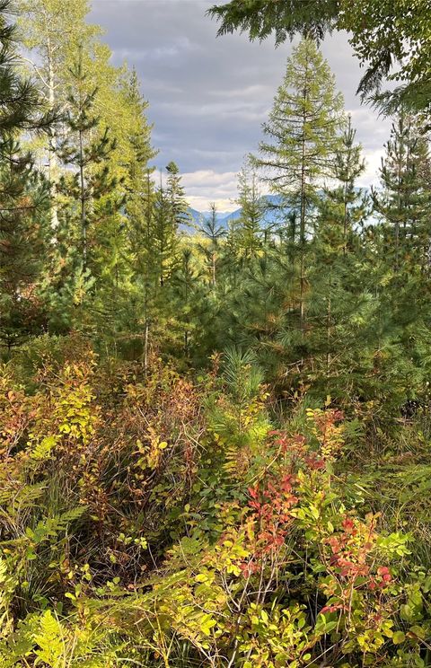 Tiny photo for 88 Abbey Road, Whitefish, MT 59937 (MLS # 30054907)