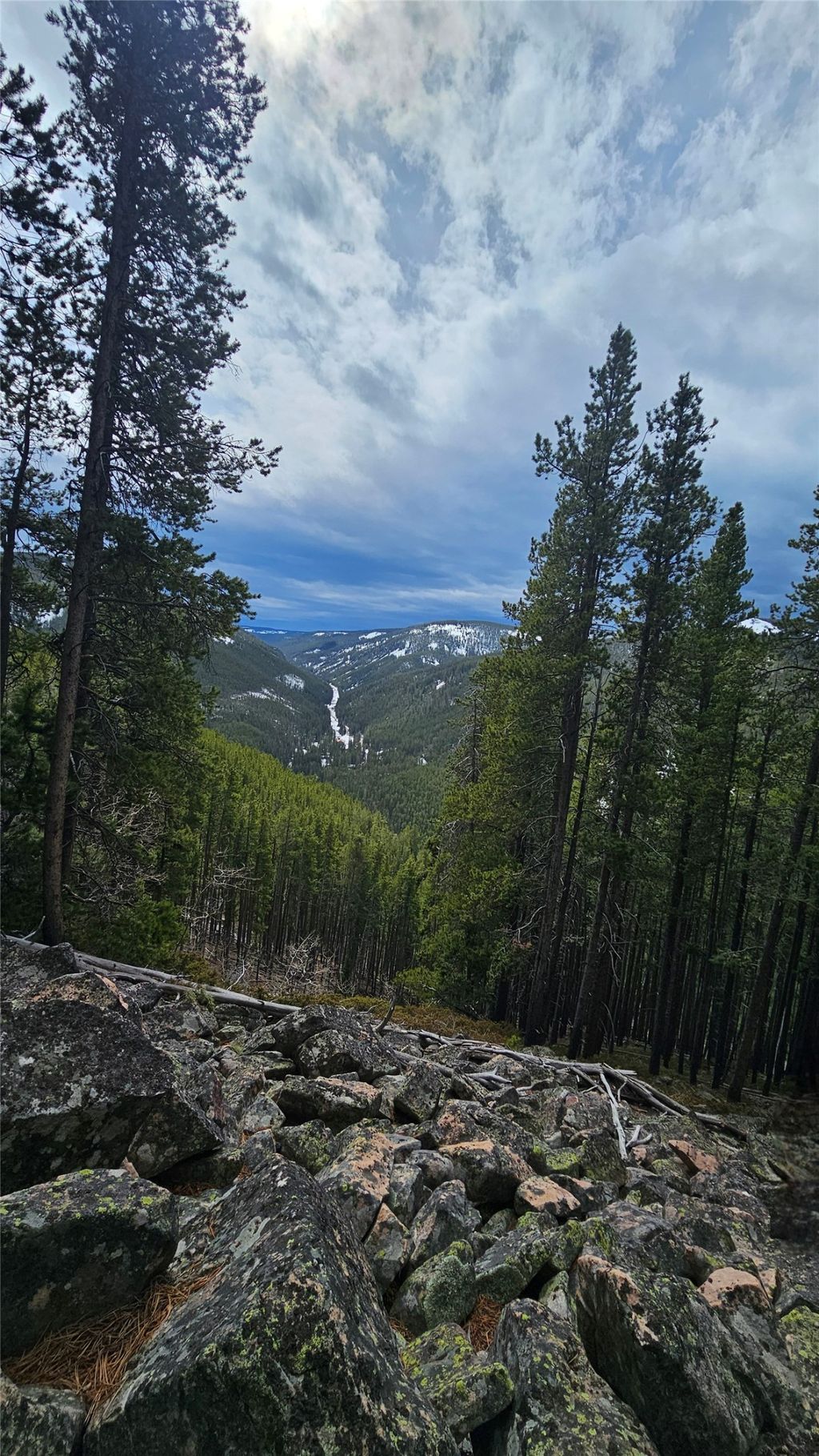 Photo of NHN Bonanaz Chief, Neihart, MT 59465 (MLS # 30068902)