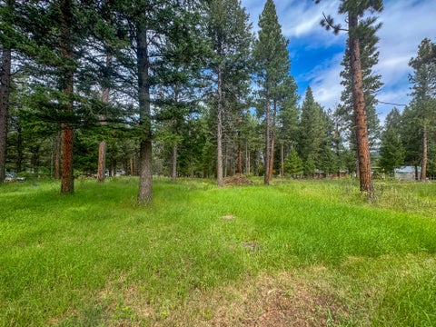 Tiny photo for 4147 & 4085 Snow Fleury Lane, Lincoln, MT 59639 (MLS # 30077208)