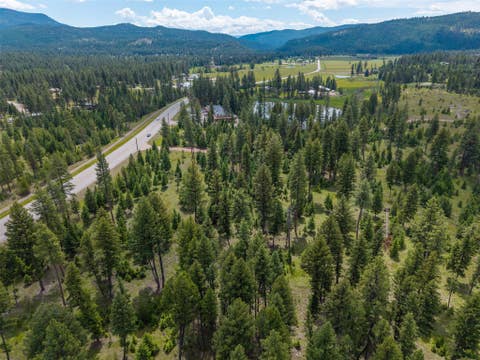 Tiny photo for NHN HWY 83, Riverview Drive #LOT 2, Seeley Lake, MT 59868 (MLS # 30076963)