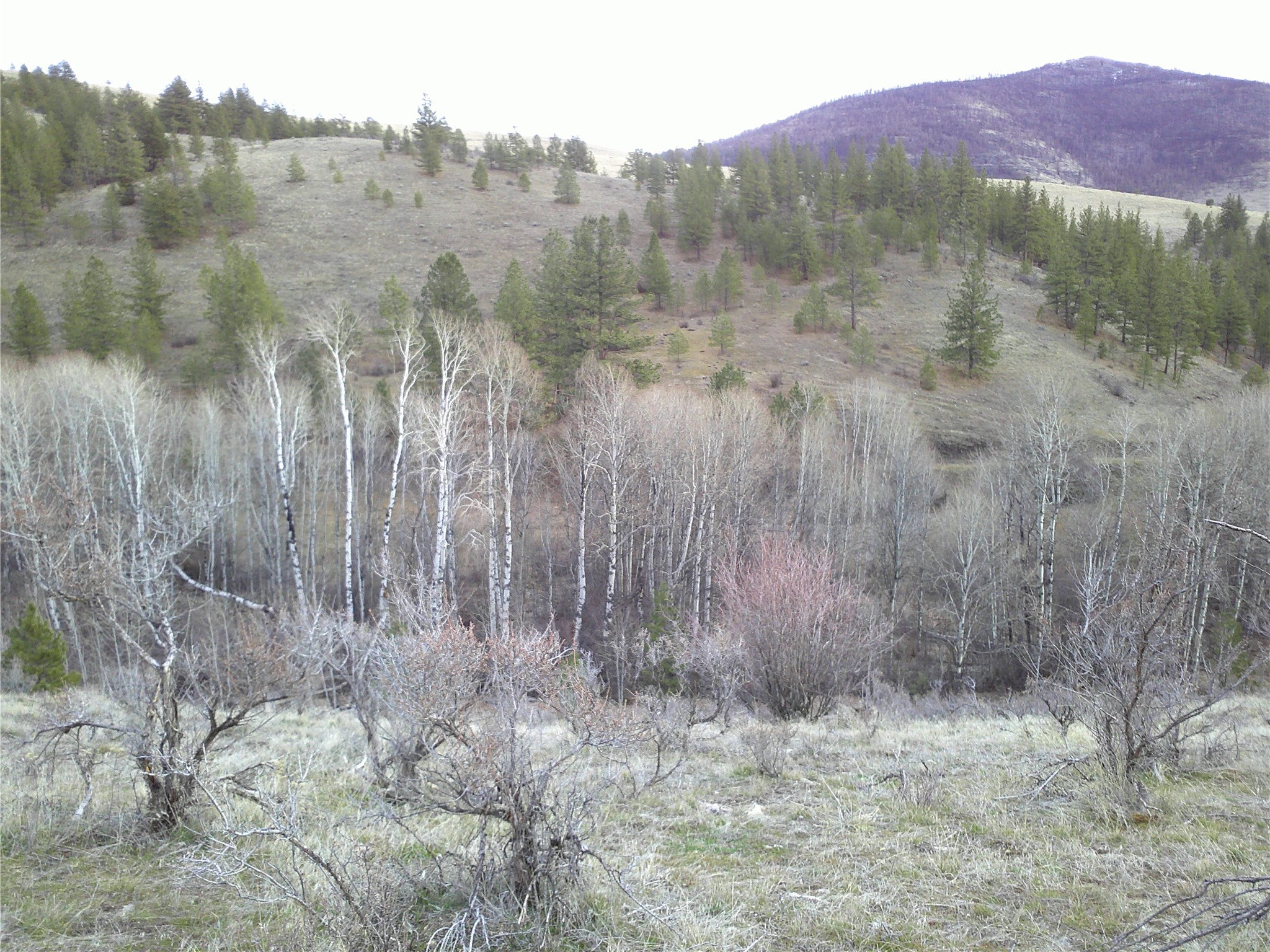 NHN Browns Meadow Road