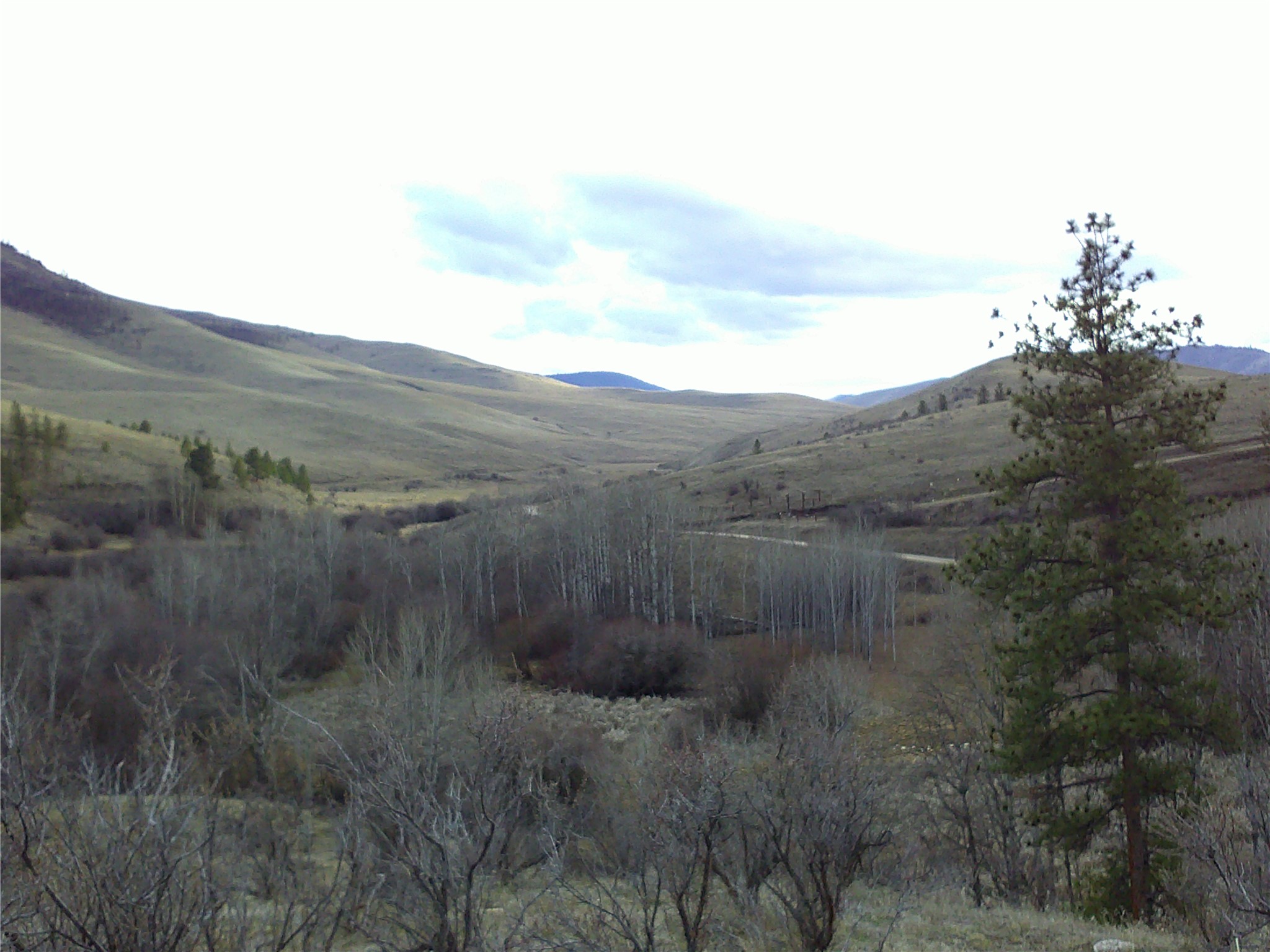 NHN Browns Meadow Road