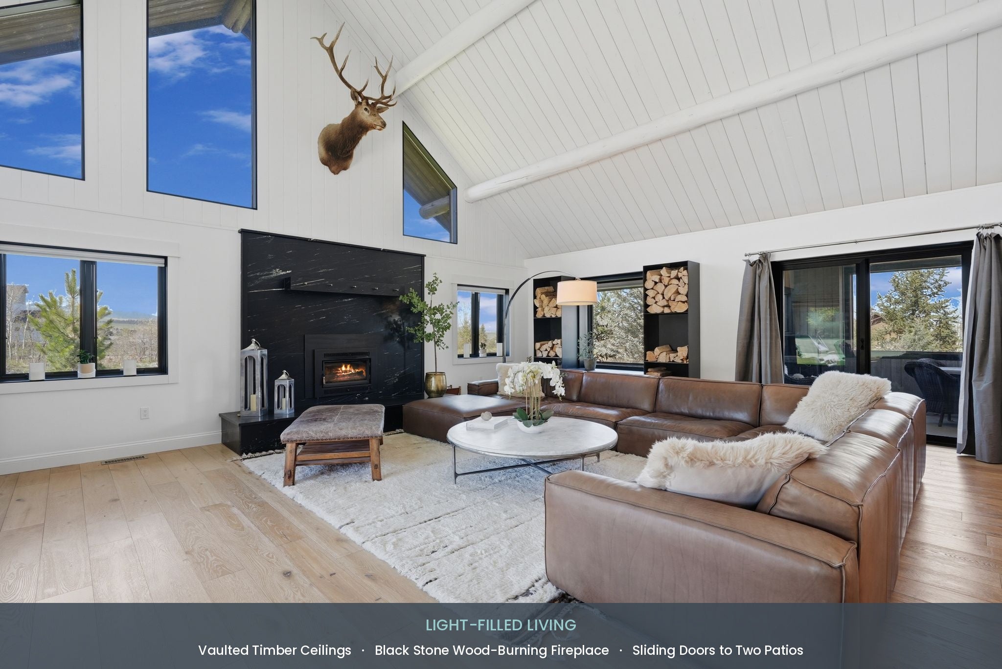1589 Cougar Drive