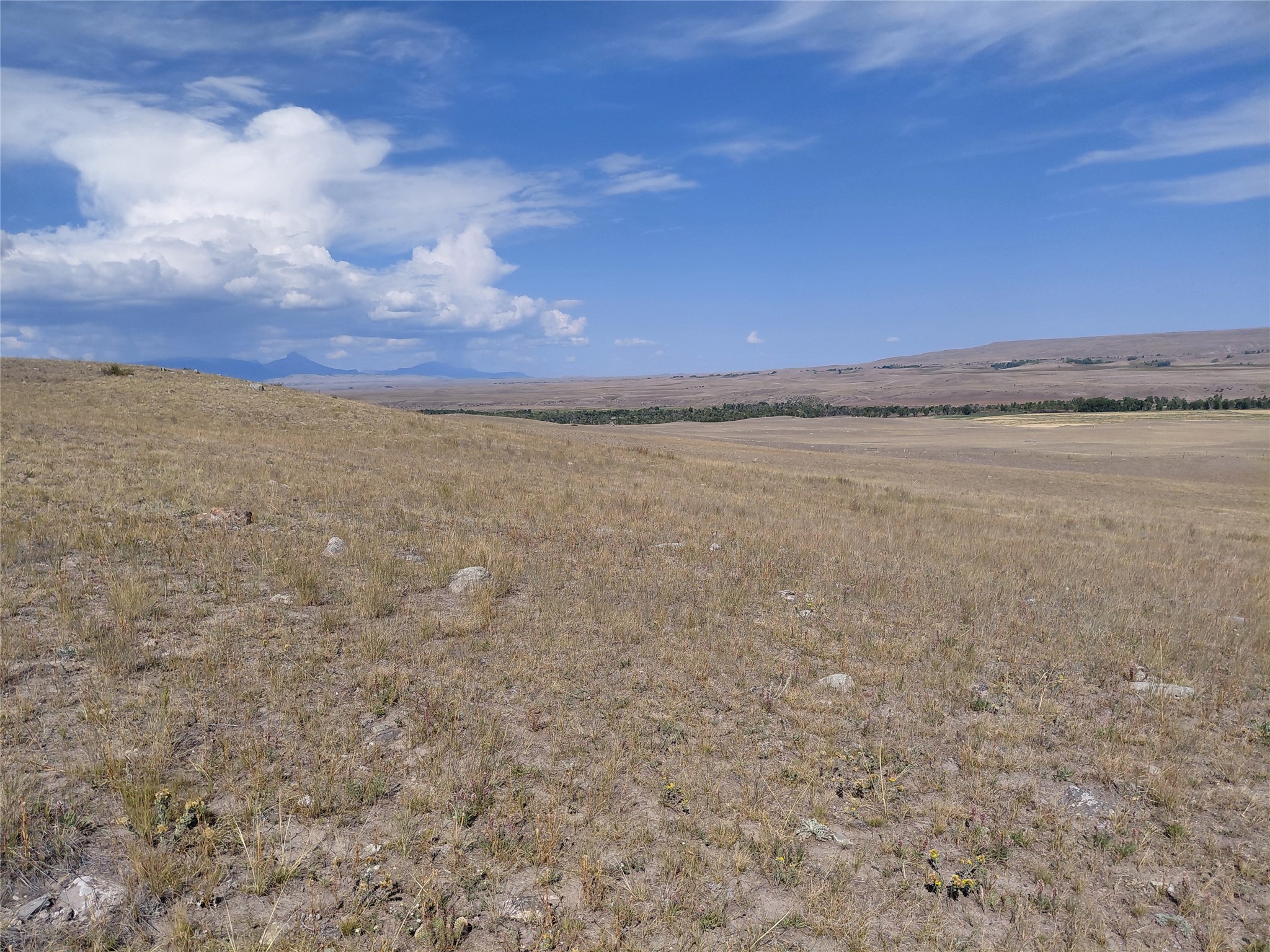 2675 E Bitterroot Lane