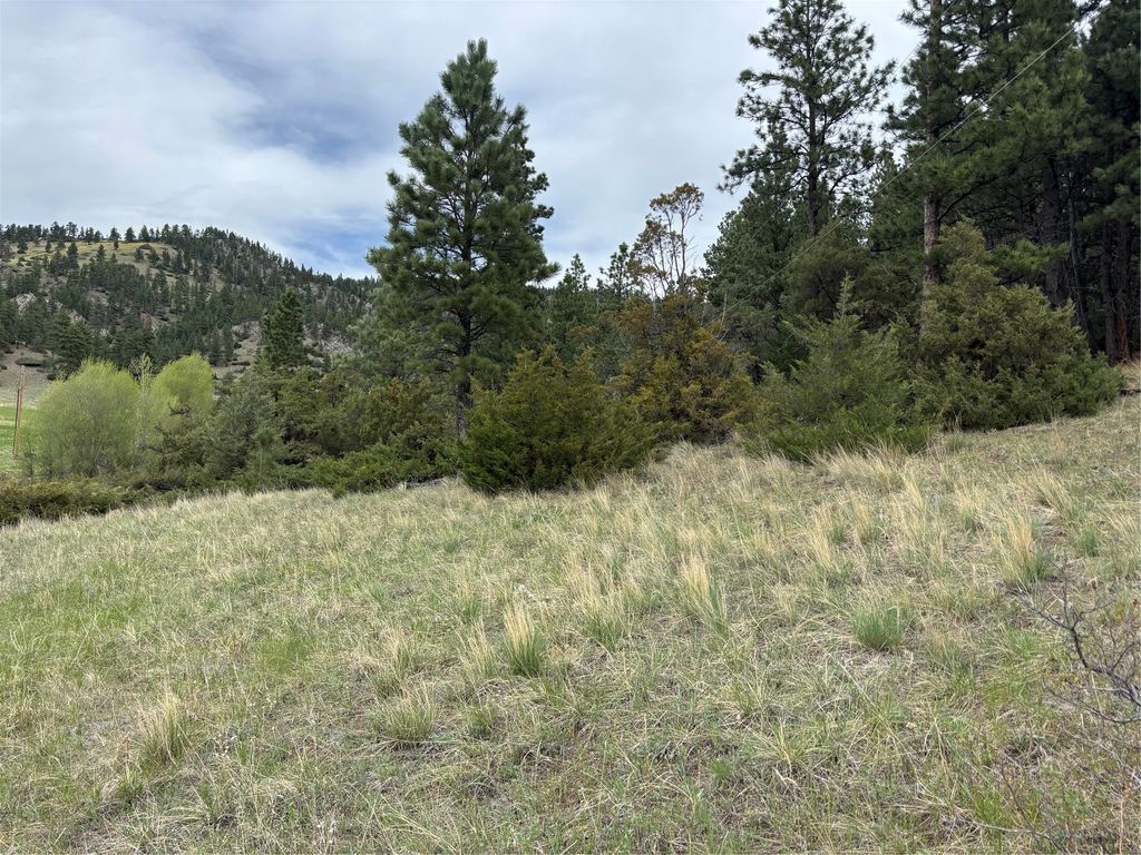 Photo of TBD Beartooth Road, Wolf Creek, MT 59648 (MLS # 30043359)
